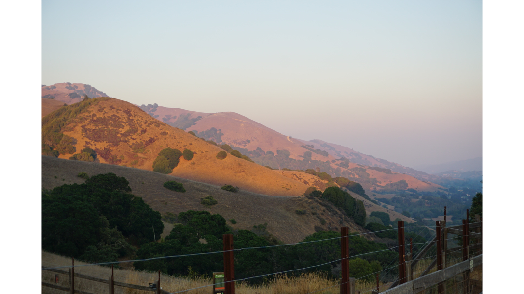hills in the north bay area rolling and glowing pink and purple in the thick polluted summer sunset air.